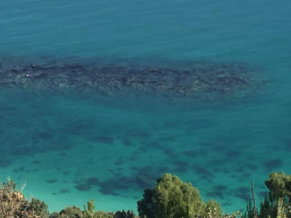 Camere Da Aldo In Centro Sirolo Dış mekan fotoğraf